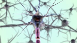 neurons-7079536_1280